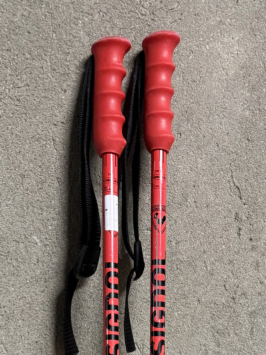 bastoncini rossignol 90 cm