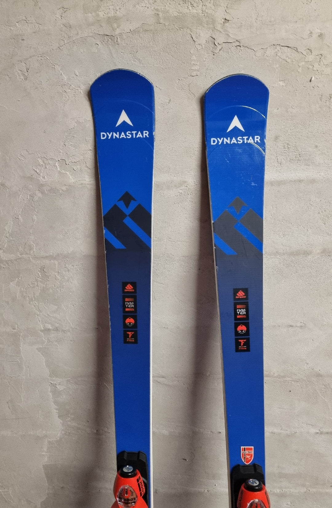 Sci Dynastar speed course master size 170-179cm