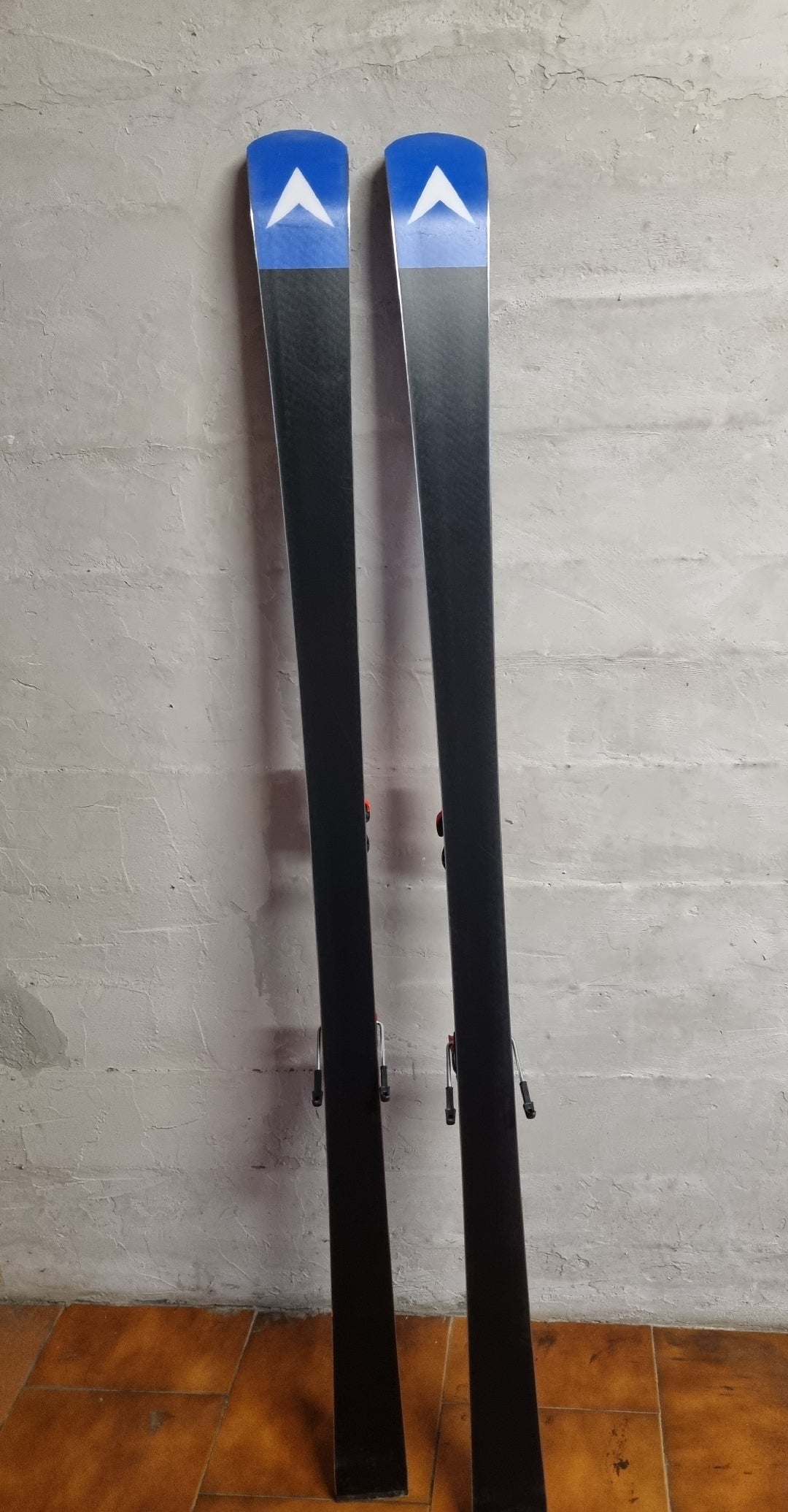 Sci Dynastar speed course master size 170-179cm