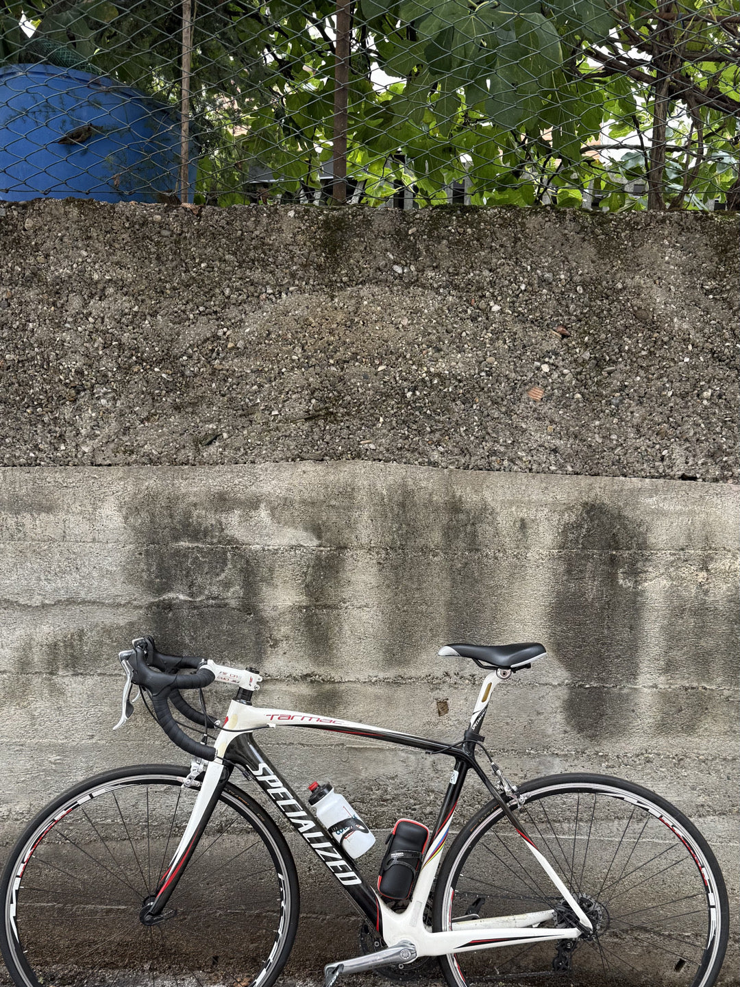 Bici Specialized Tarmac Durace tg. M (54) usata