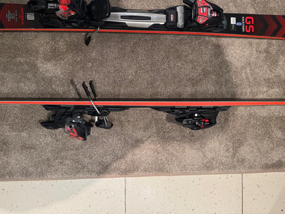 VOLK RACETIGER GS 173cm usati