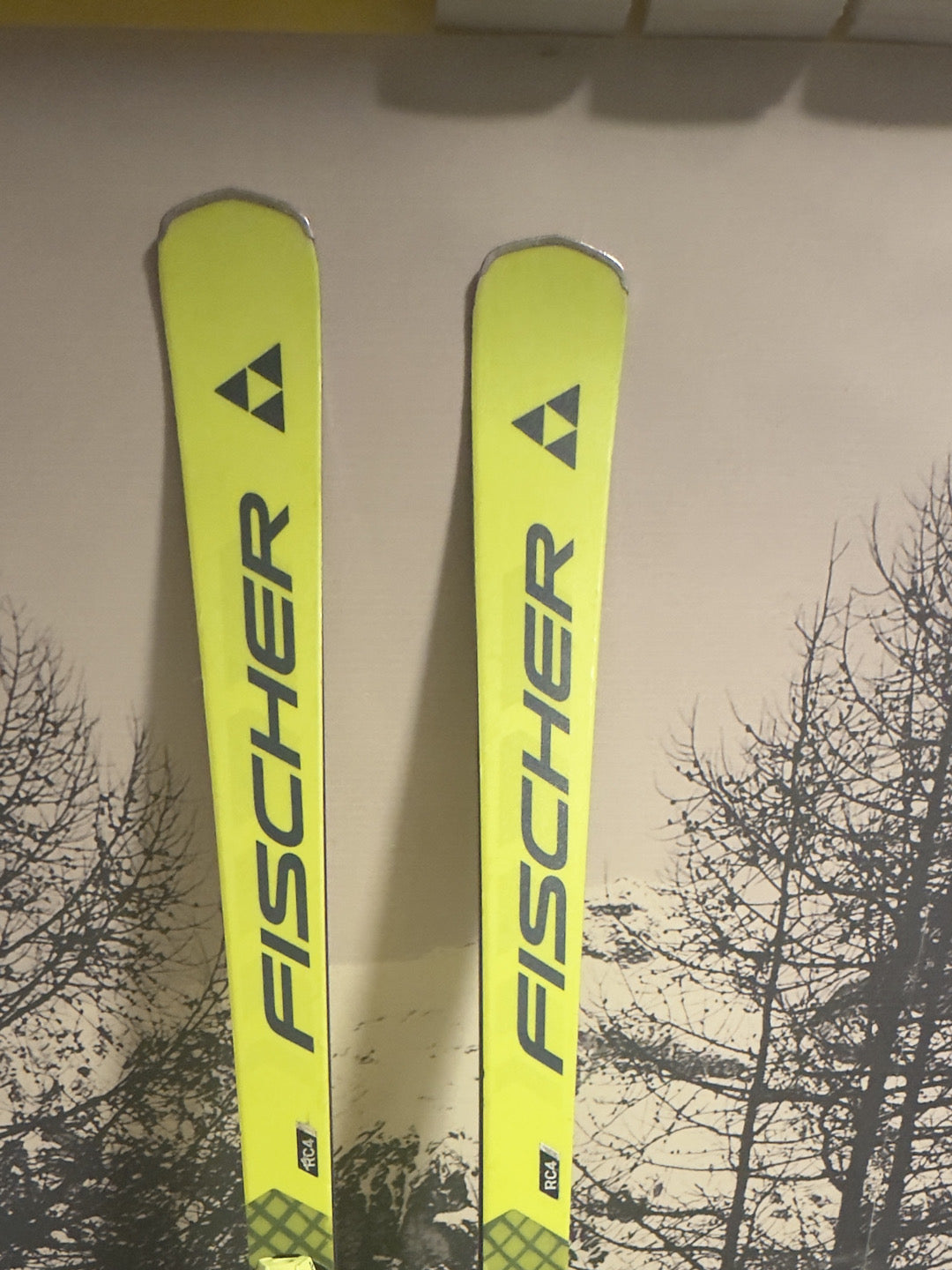 sci Fischer RC4 RC 175cm r18 2025 usati