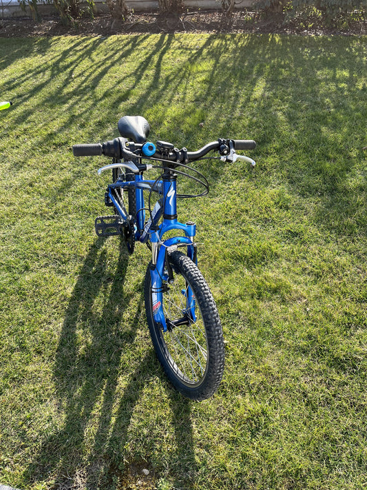 Bici bmx specialized diametro ruote 20 pollici