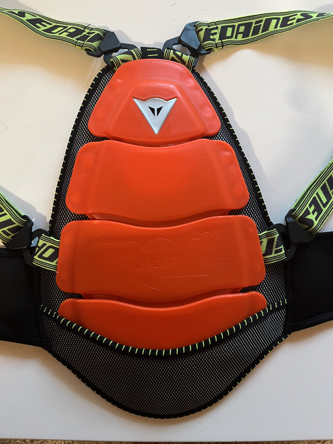 para schiena sci dainese bambino tg M Usato