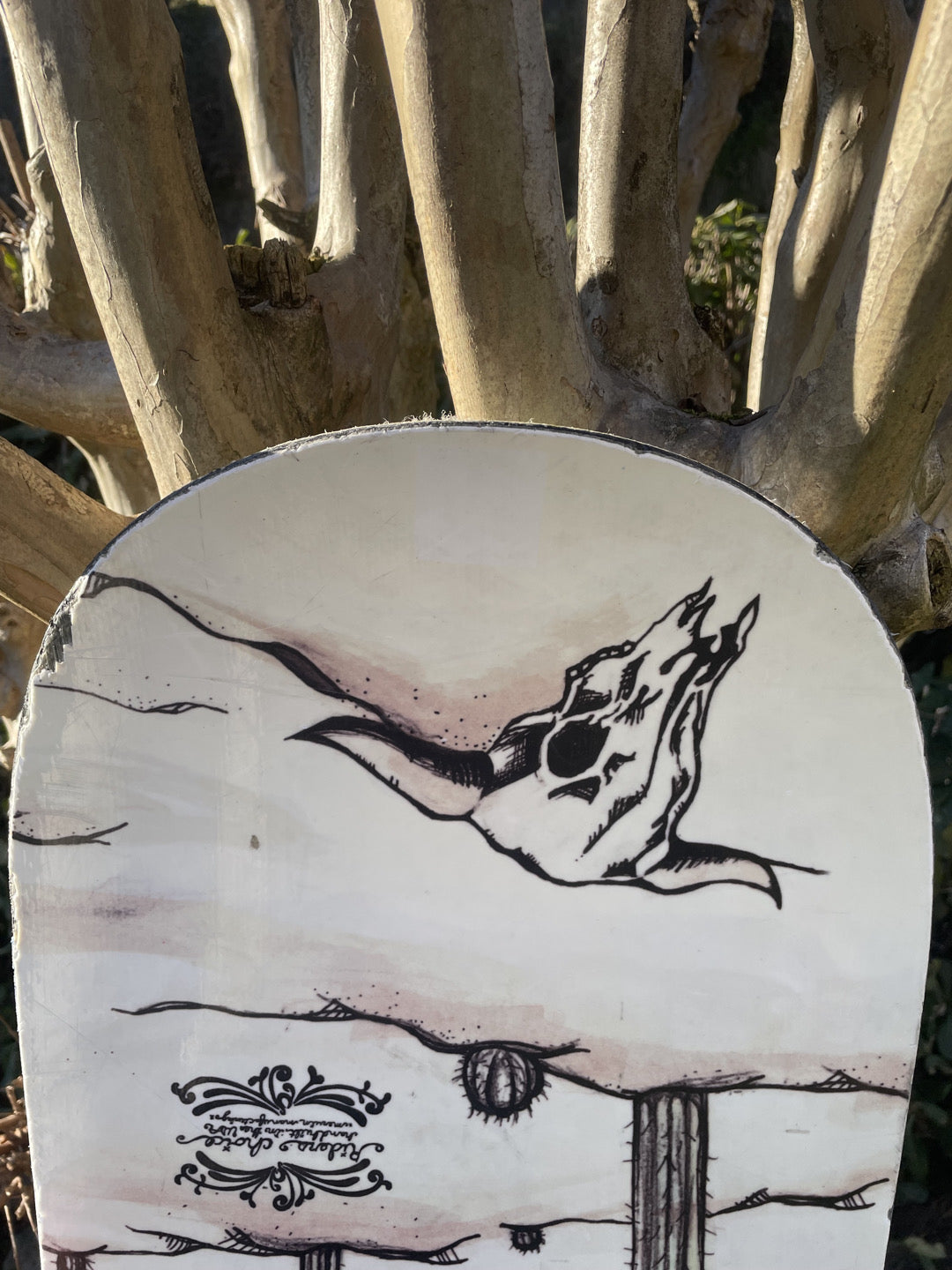 snowboard usato Gnu 159W con attacchi Ride XL