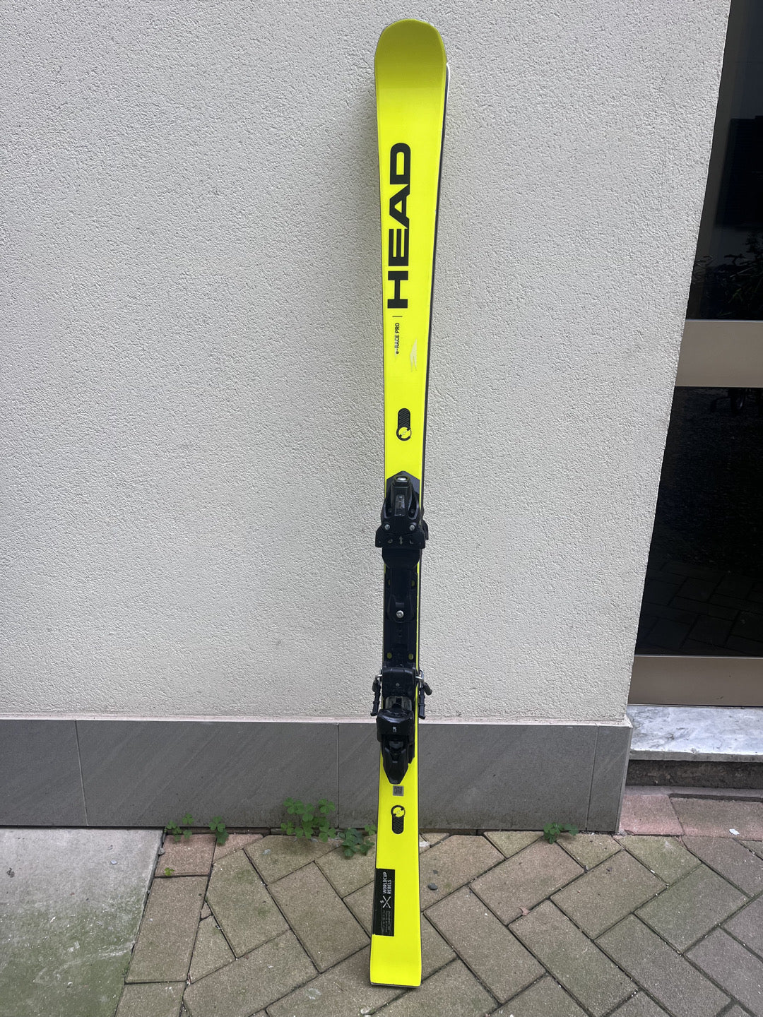 Head e race - Rebels world cup 170-179cm