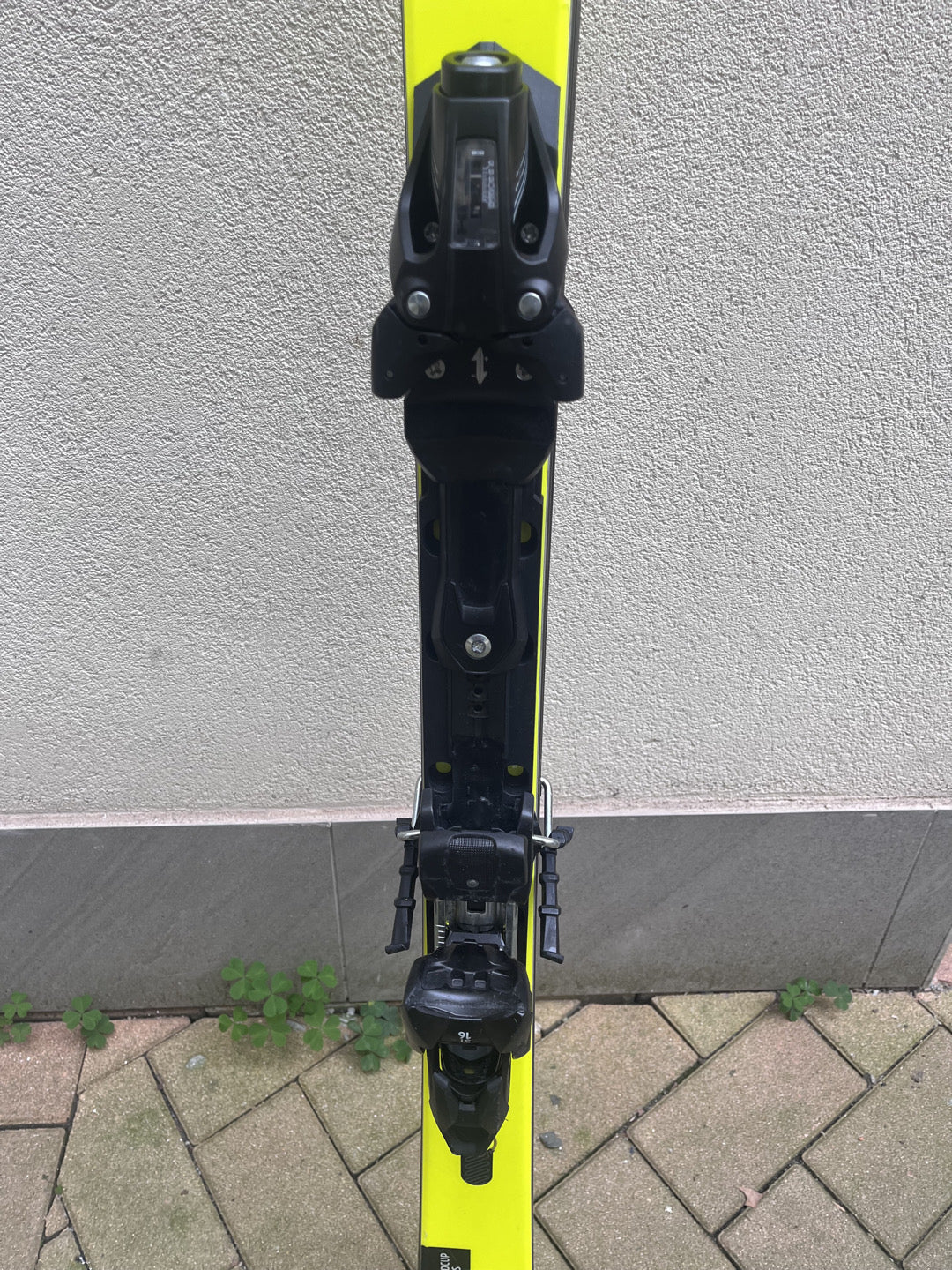 Head e race - Rebels world cup 170-179cm