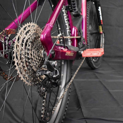 Ebike Mtb Usata Bergamont E-Revox Pro FMN 2025 tg S