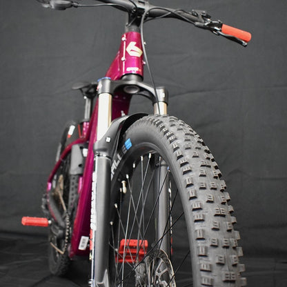 Ebike Mtb Usata Bergamont E-Revox Pro FMN 2025 tg S