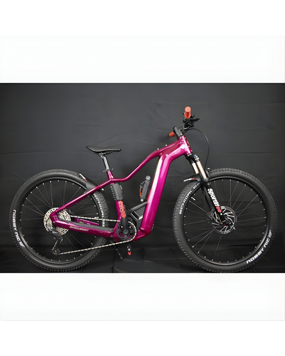 Ebike Mtb Usata Bergamont E-Revox Pro FMN 2025 tg S