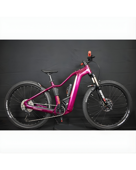 Ebike Mtb Usata Bergamont E-Revox Pro FMN 2025 tg S