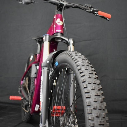 Ebike Mtb Usata Bergamont E-Revox Pro FMN 2025 tg S