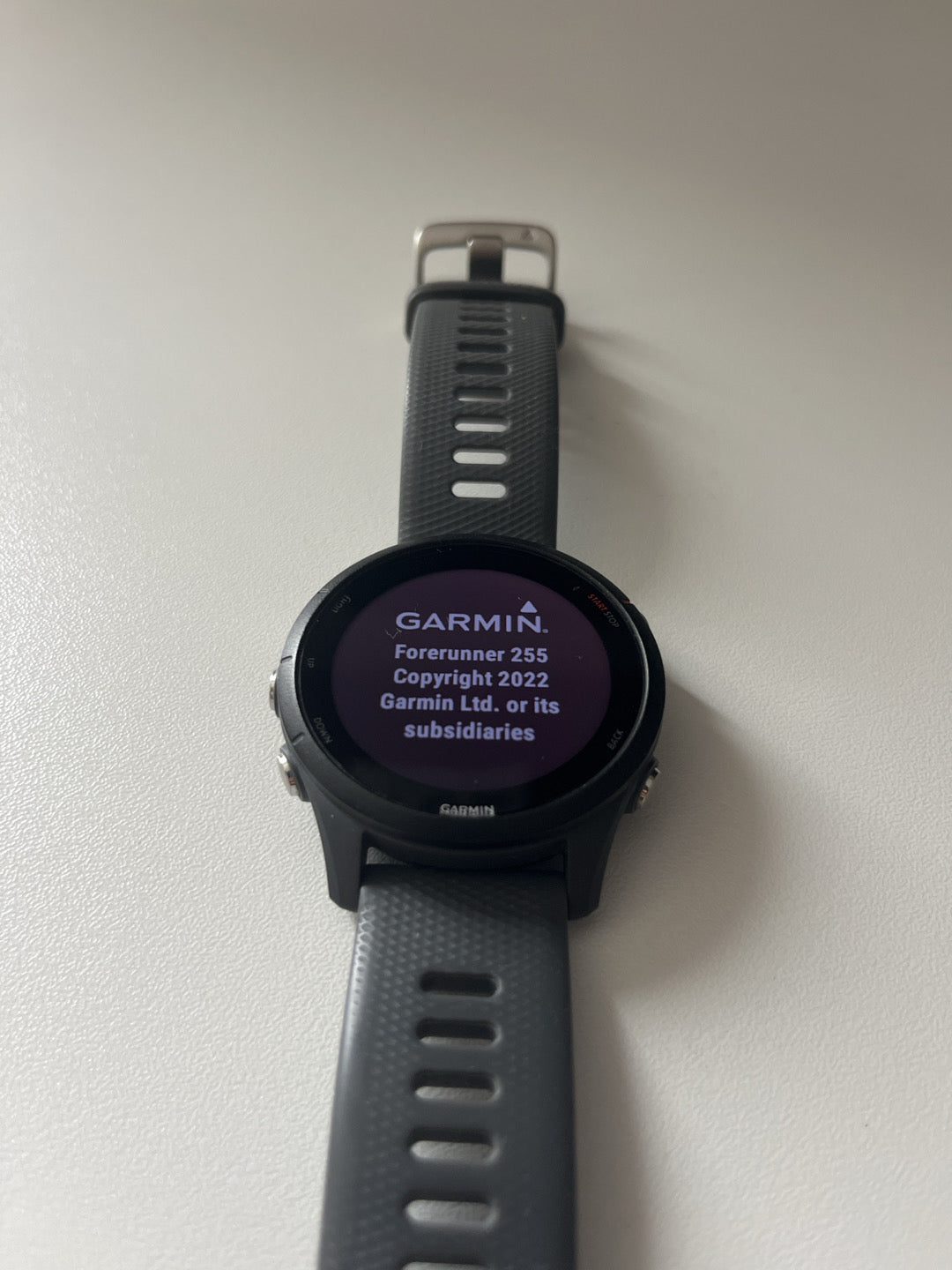 Smartwatch Garmin Forerunner 255 usato