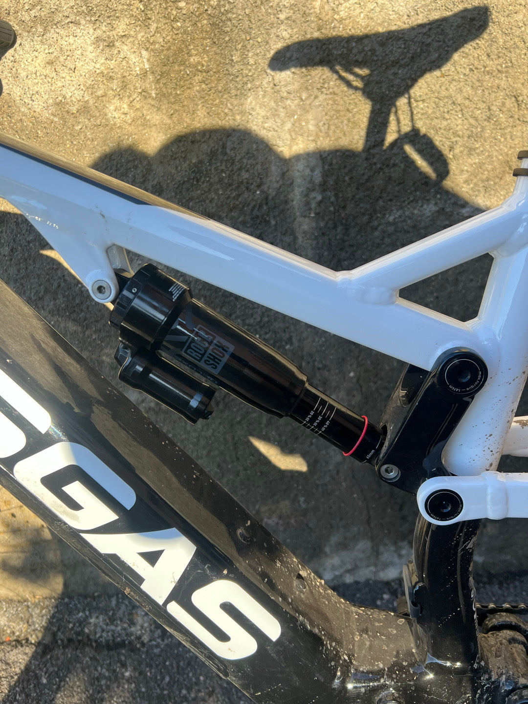 E-MTB gas gas enduro 2.0 2024 tg. L usata