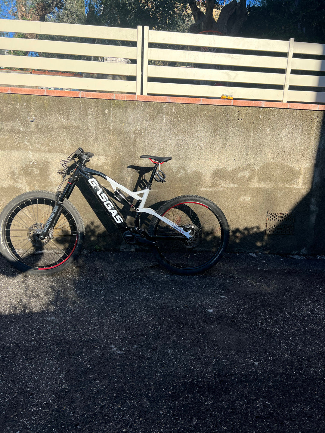 E-MTB gas gas enduro 2.0 2024 tg. L usata