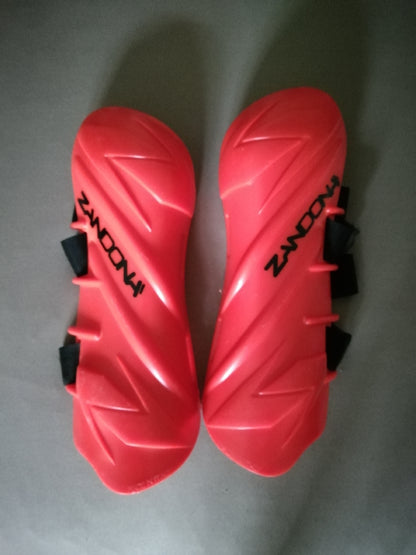 Parastinchi Sci alpino Zandona