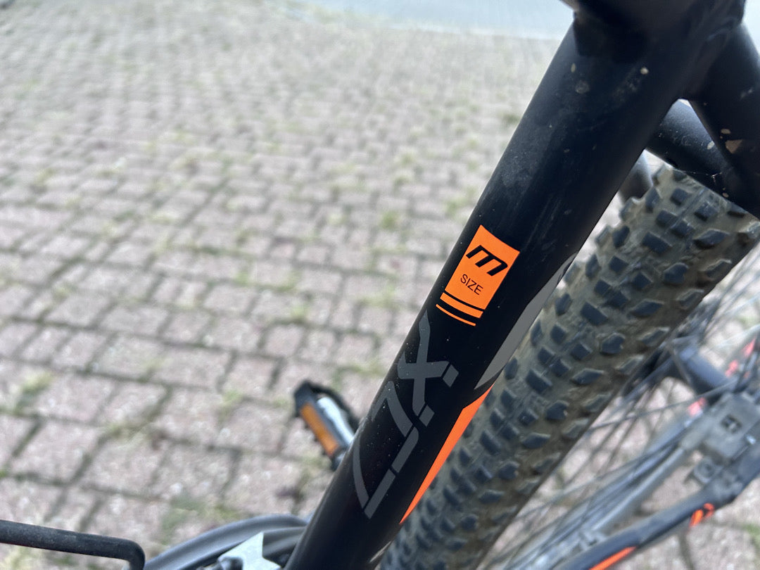 bici MTB muscolare Doublezz tg M usata