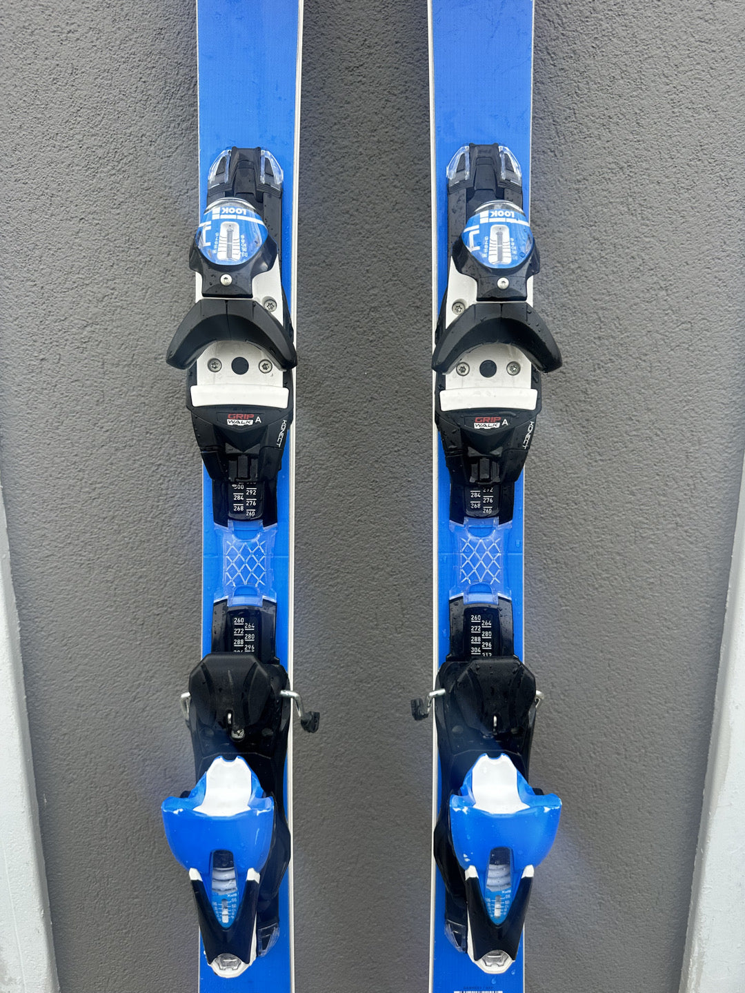 Sci Dynaster Speed GS Master 169cm r15 2025 usato