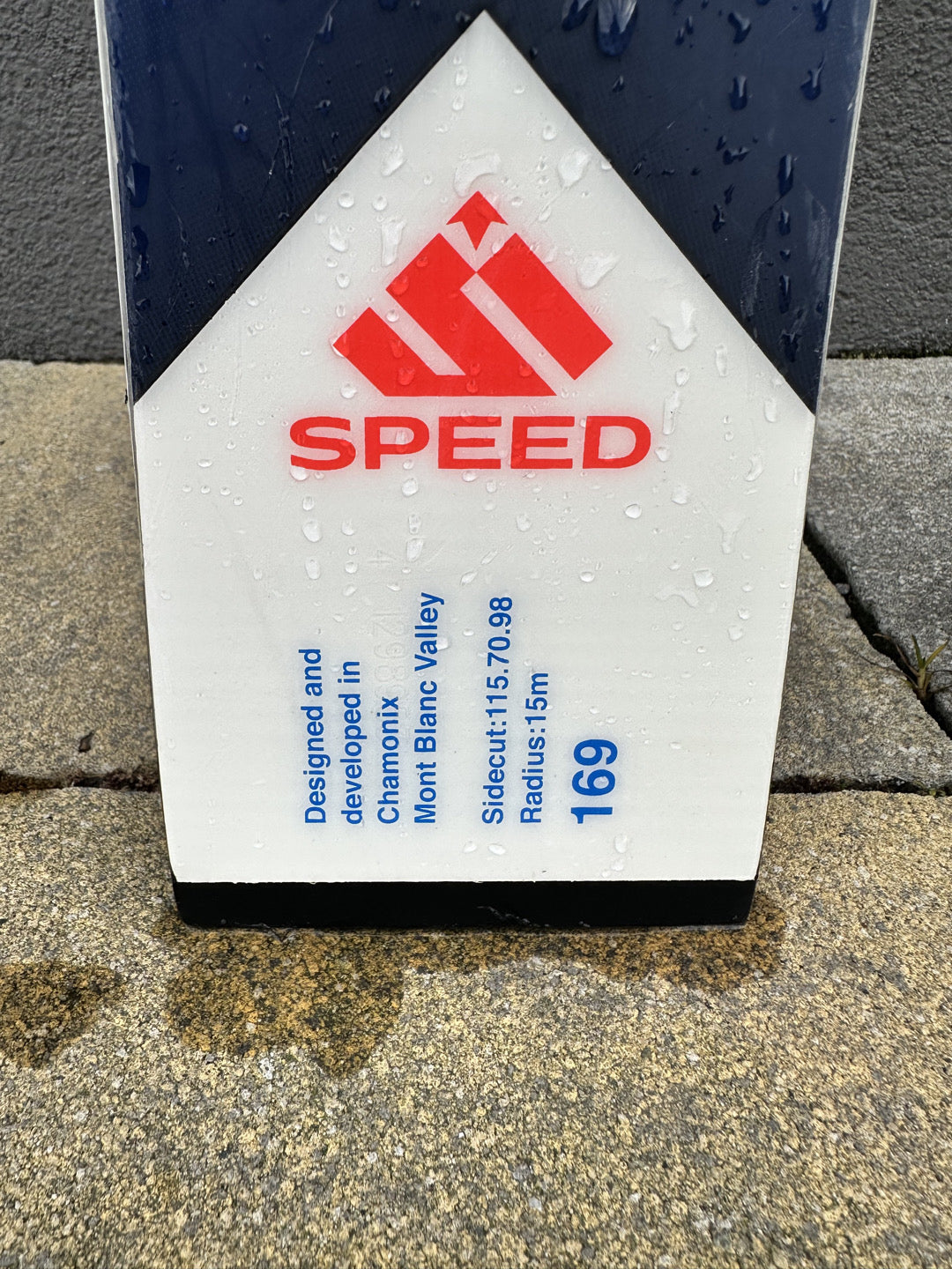 Sci Dynaster Speed GS Master 169cm r15 2025 usato