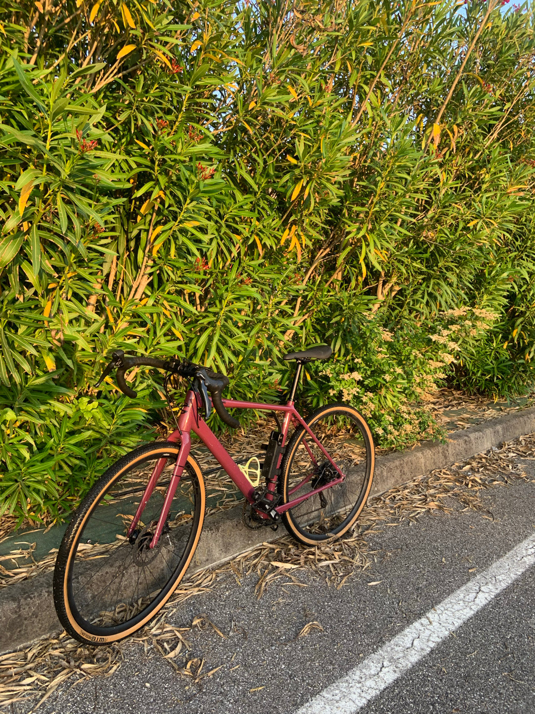 Gravel Cannondale Topstone 4 tg. M usata