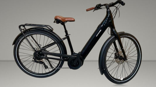 Cannondale Adventure Neo 3.1 Eq 2022 usata — vista laterale